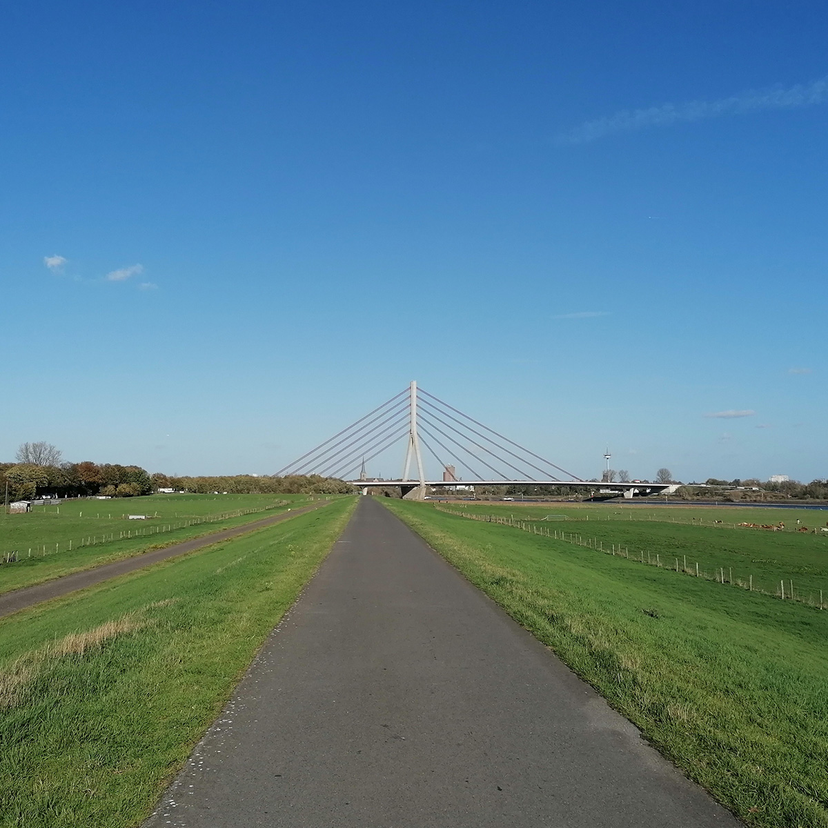 Niederrhein Deichweg Rheinbrücke Wesel